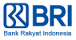 bank BRI-3s1